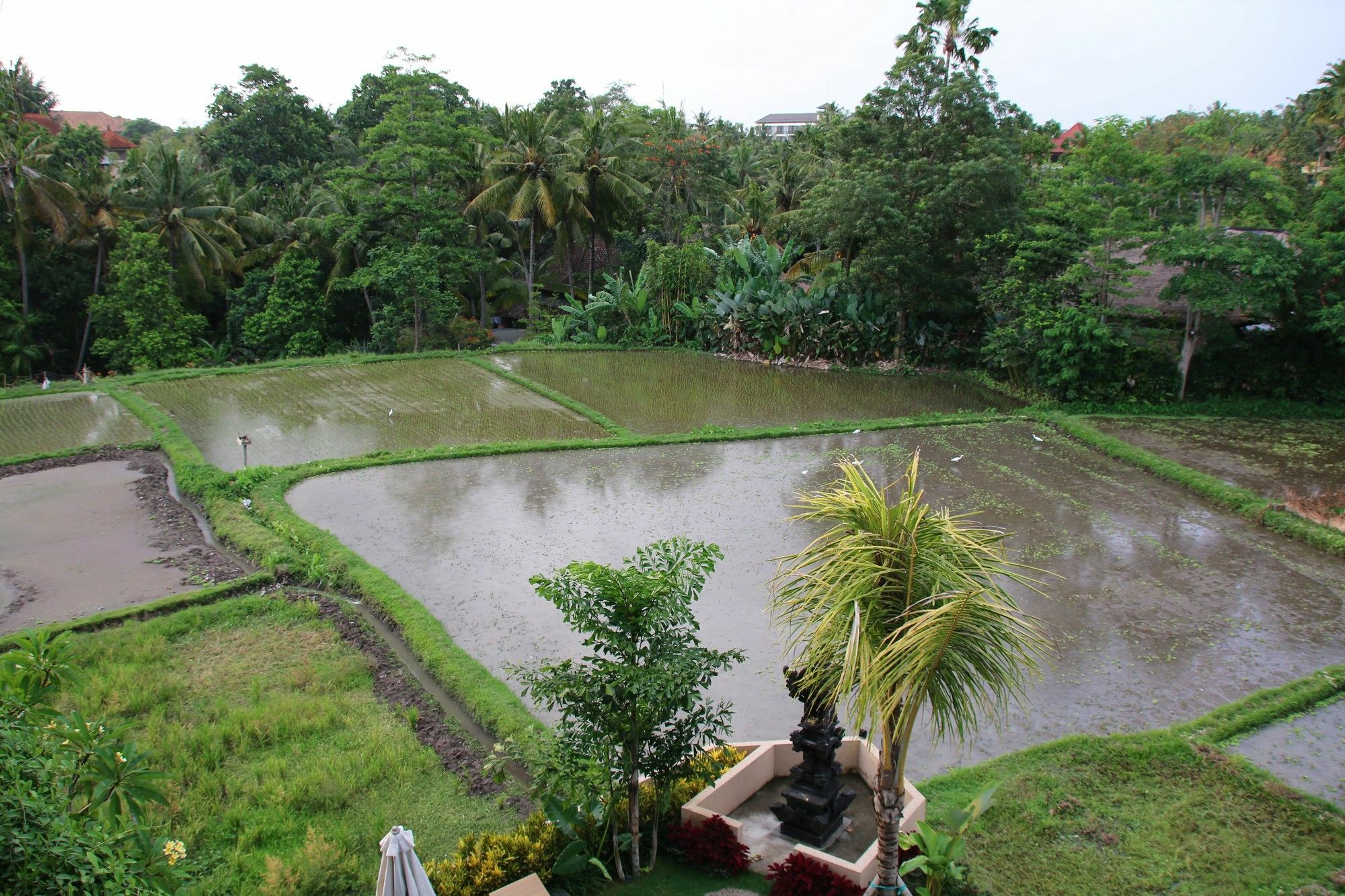 Byasa Ubud Exteriör bild